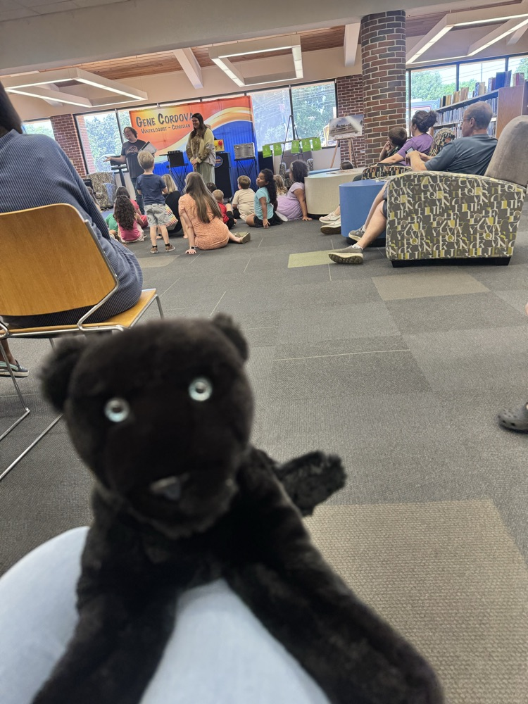 scout at the public library 