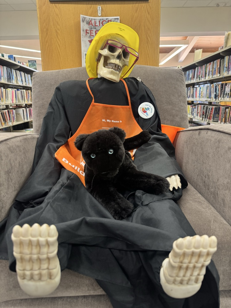 scout at the public library 