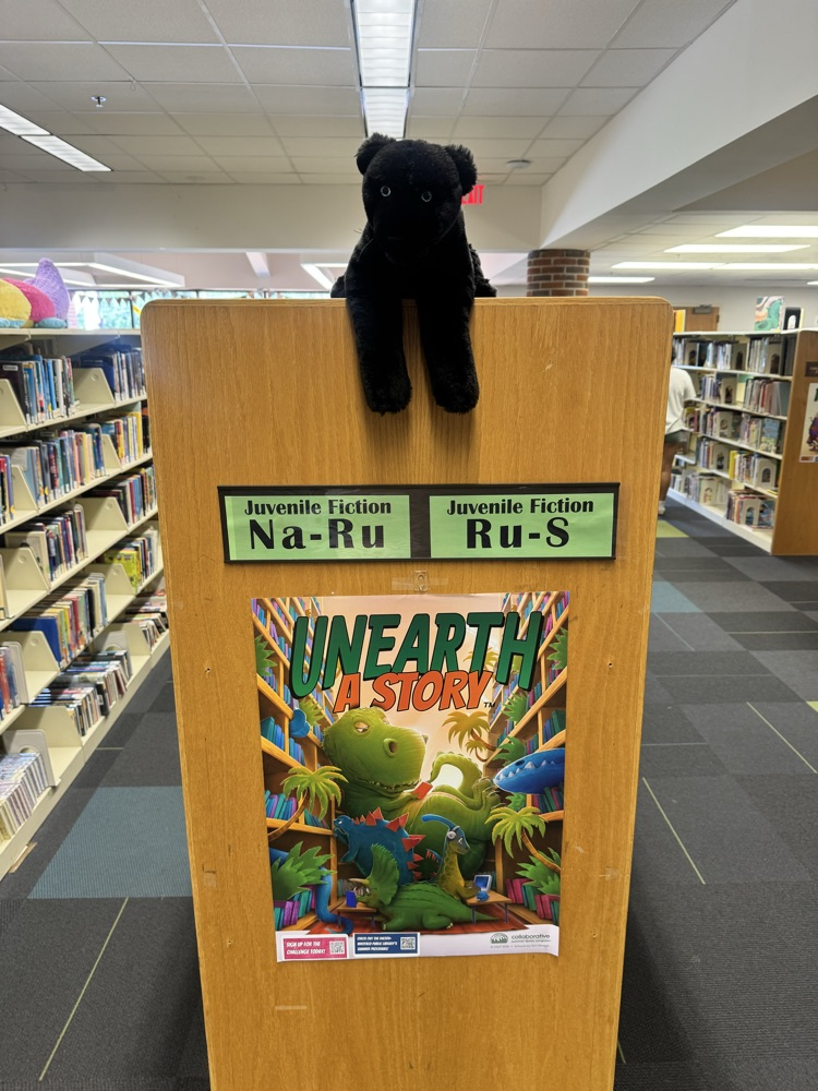scout at the public library 