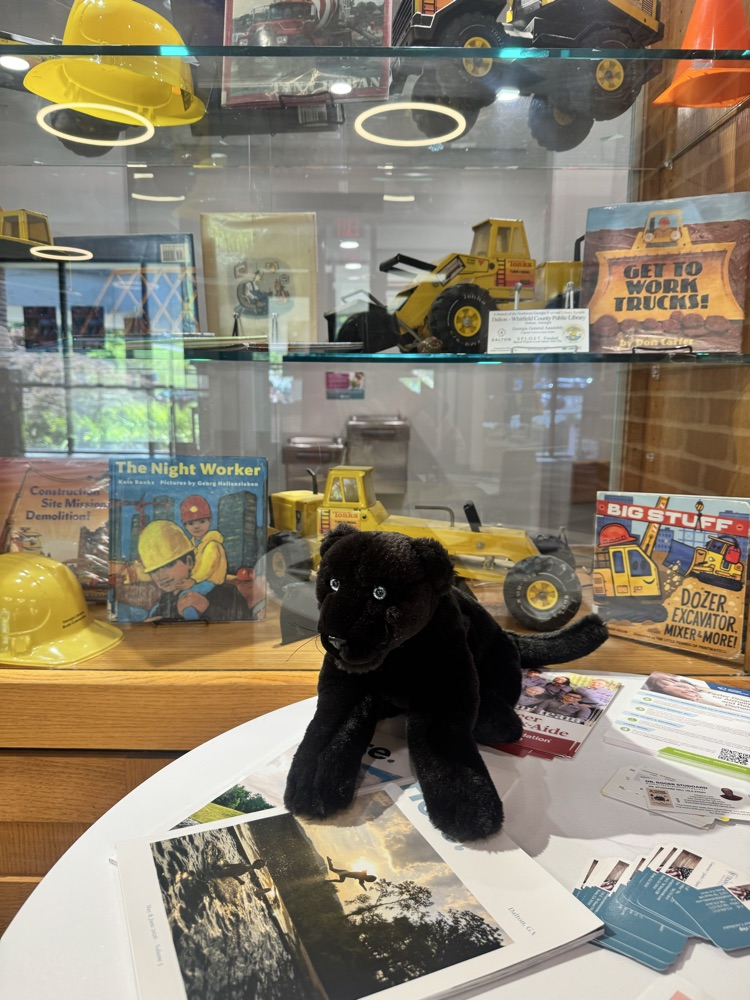 scout at the public library 
