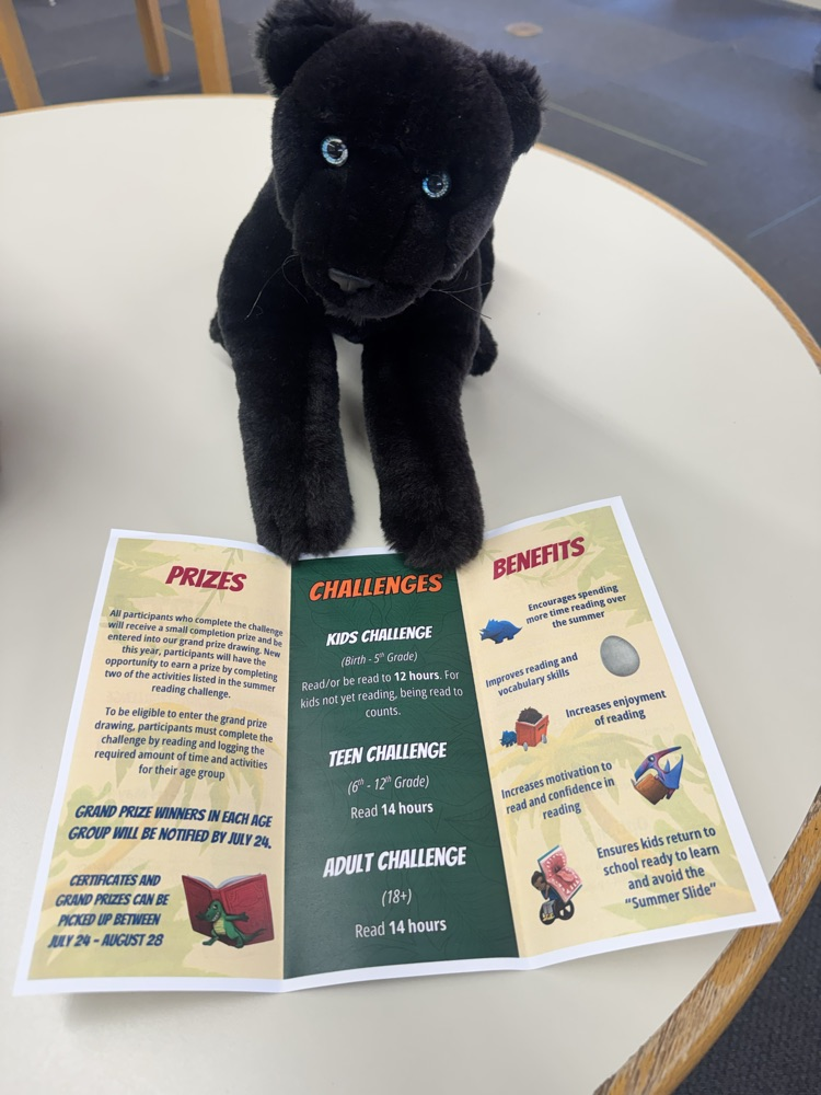 scout at the public library 