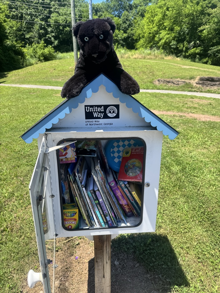 scout restocks little free libraries 