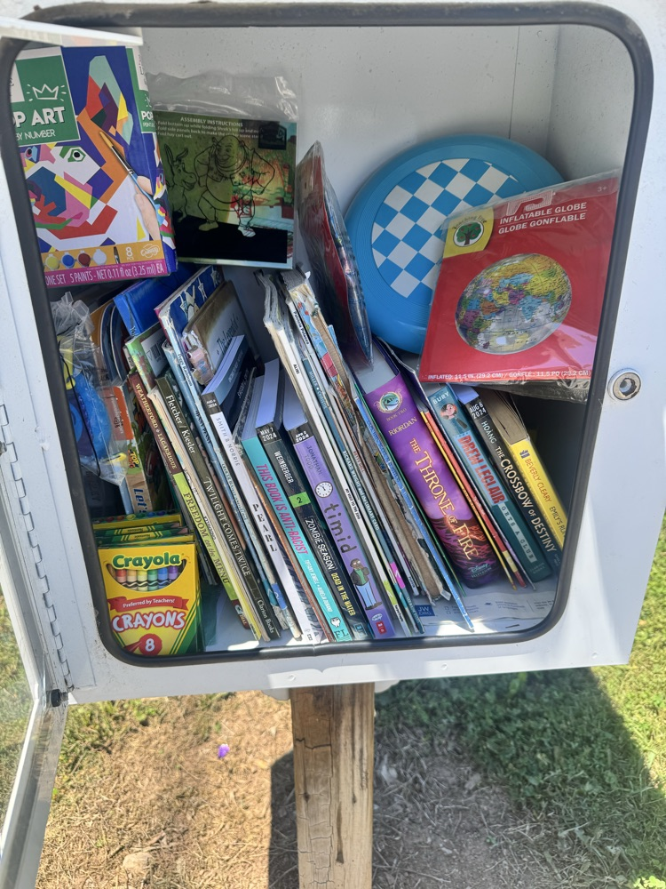 scout restocks little free libraries 