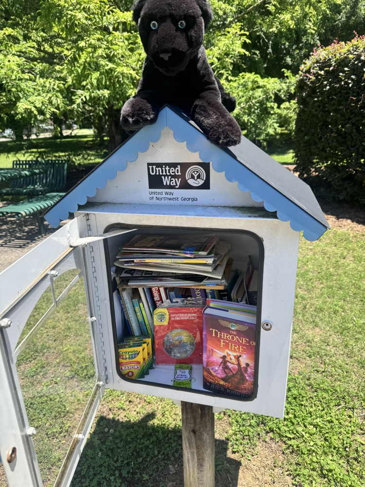 scout restocks little free libraries 