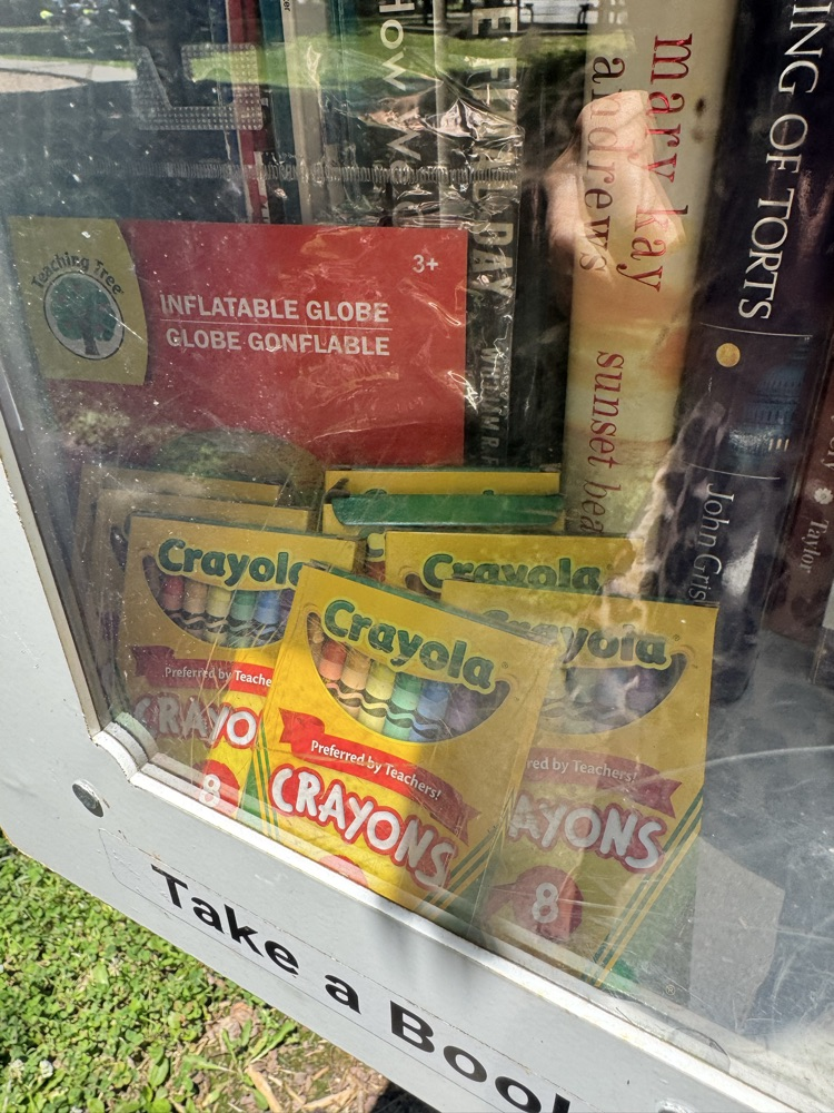 scout restocks little free libraries 