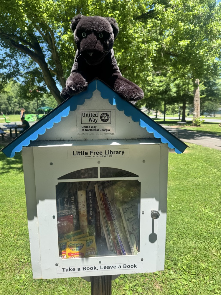 scout restocks little free libraries 