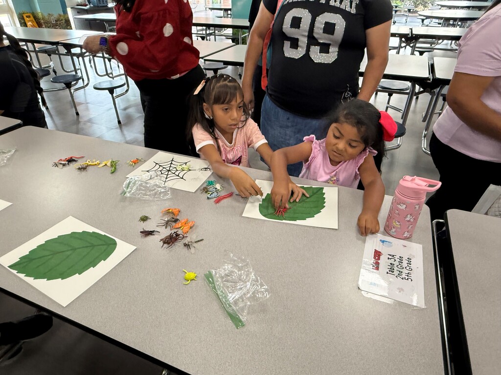On Tuesday, June 16, the Rising Pre-K and Kindergarten Summer Transition Program hosted its first annual Magical Math Family Workshop, inviting students and families to explore the joy of numeracy through hands-on learning stations.  This year’s theme, “A Bug’s Life,” brought together the excitement of math and science as students worked through six engaging stations that combined counting, problem-solving, and insect-themed fun! From plastic spiders and web mats to fly swatters and dice games, every activity was designed to spark curiosity and build foundational math skills in a playful, memorable way.  Families rotated through stations including:  Roll, Find, and Stamp – practicing number recognition and fine motor skills Race to Fill – counting and comparing using dice, cups, and pom-poms How Many Bugs Am I Hiding? – building estimation and early addition skills Subitizing Cups – recognizing quantities quickly using dot stickers and patterns Smack the Bug Counting Game – developing number fluency with a fun twist Collecting Bugs – exploring preschool-level addition with bugs and butterflies It was a fantastic afternoon of math, movement, and memory-making for our young learners and their families