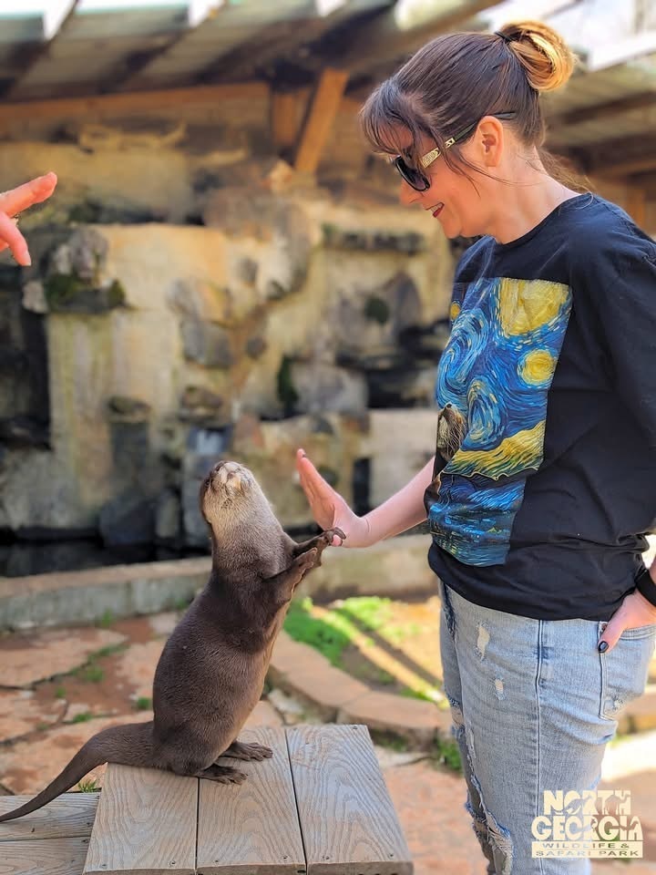 A woman high fives an otter