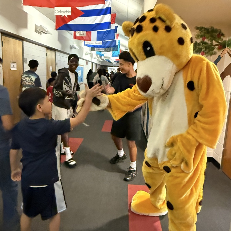 photos from meet your teacher event 
