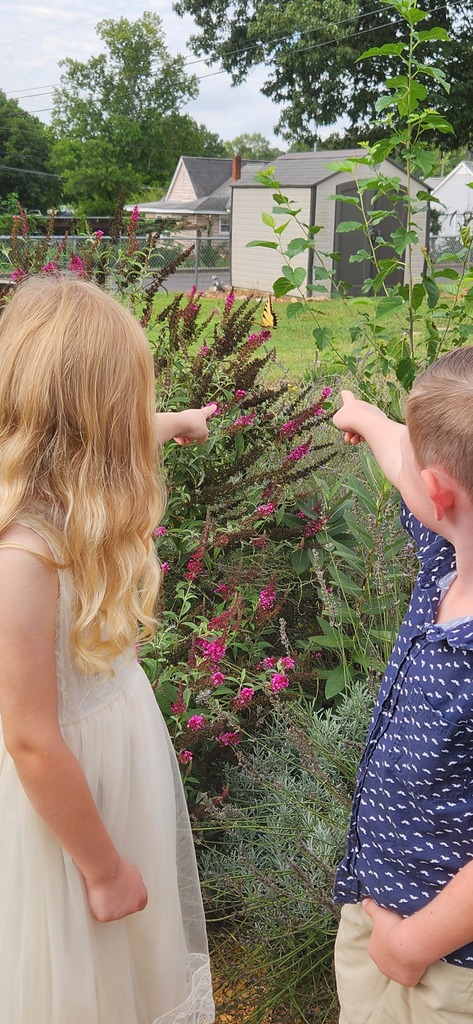 first grade pollinator protectors observing the pollinator gardens