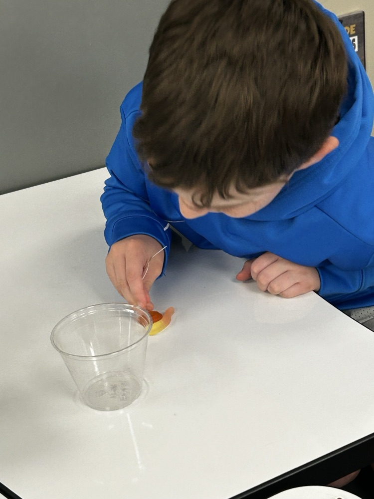 students working together in classroom