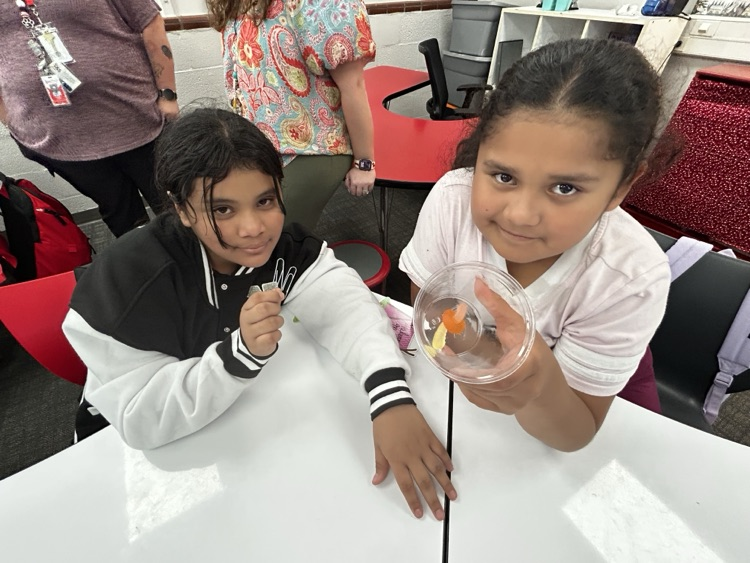 students working together in classroom
