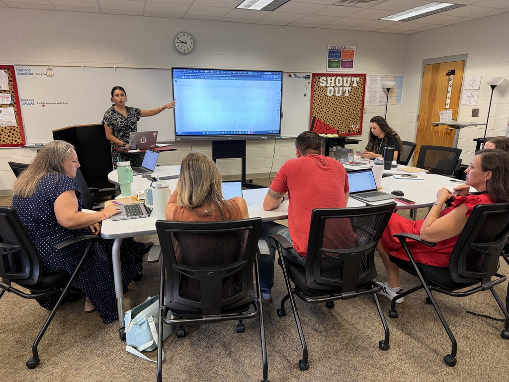 Teacher presenting to a group of teachers 