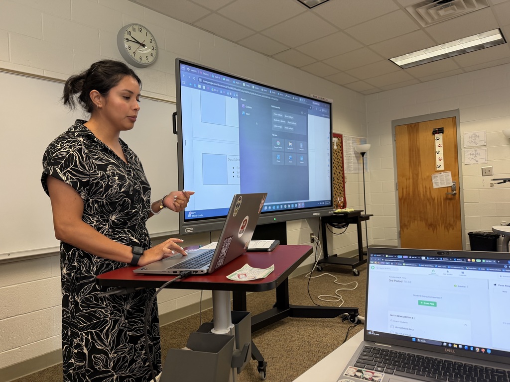 Teacher presenting to a group of teachers 