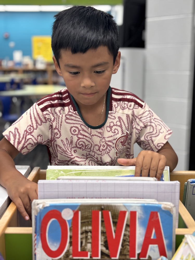 A kindergarten student looking through books in the media center