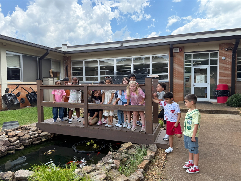 a class of students in the courtyard observing the fish pond