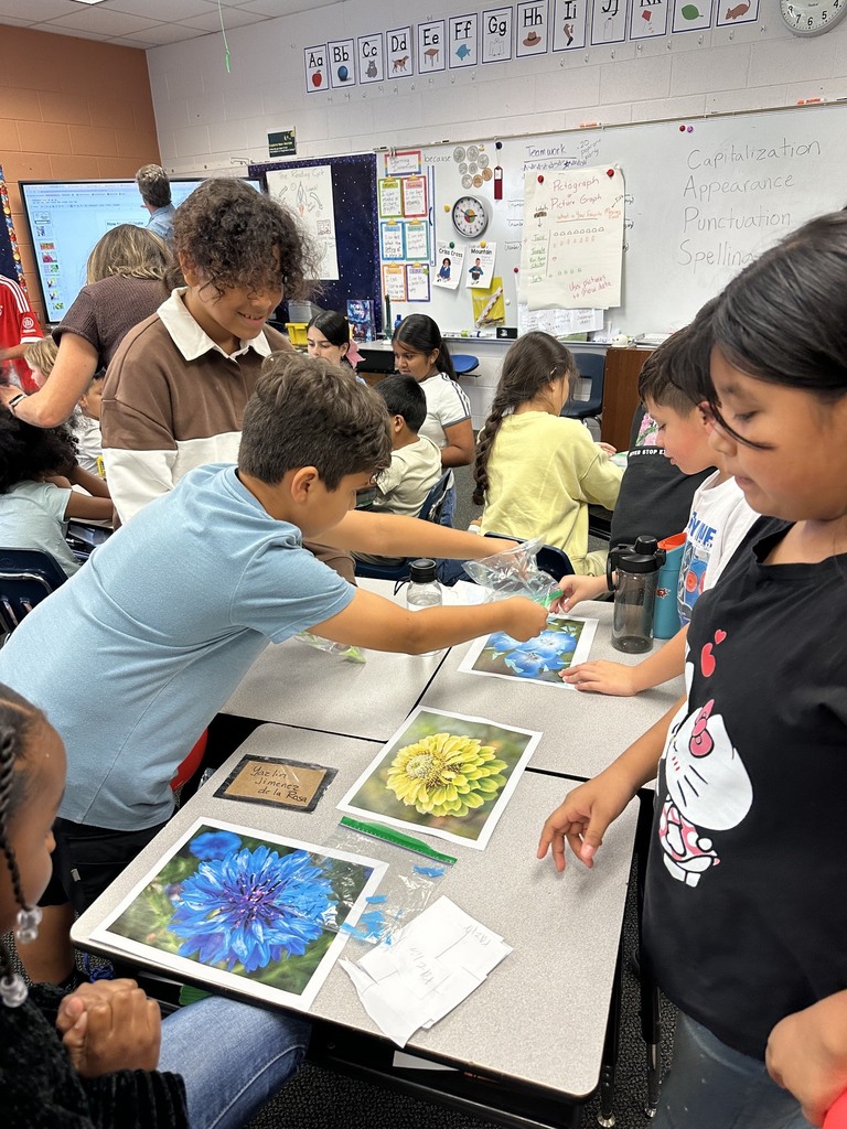 Four elementary students gather around classroom desks examining pictures of flowers and plastic bags. A student on the right holds a blue balloon, while two other students open plastic bags to test static electricity effects on colorful paper pieces scattered across flower images.