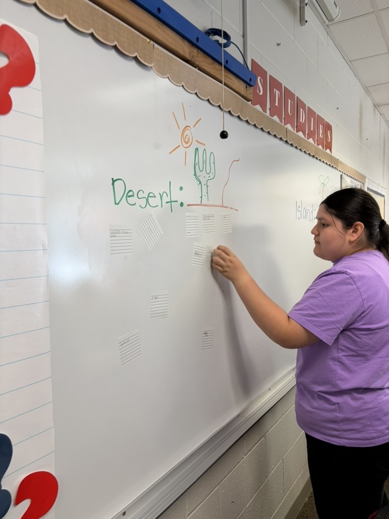 Student writing on whiteboard drawing a picture of the desert