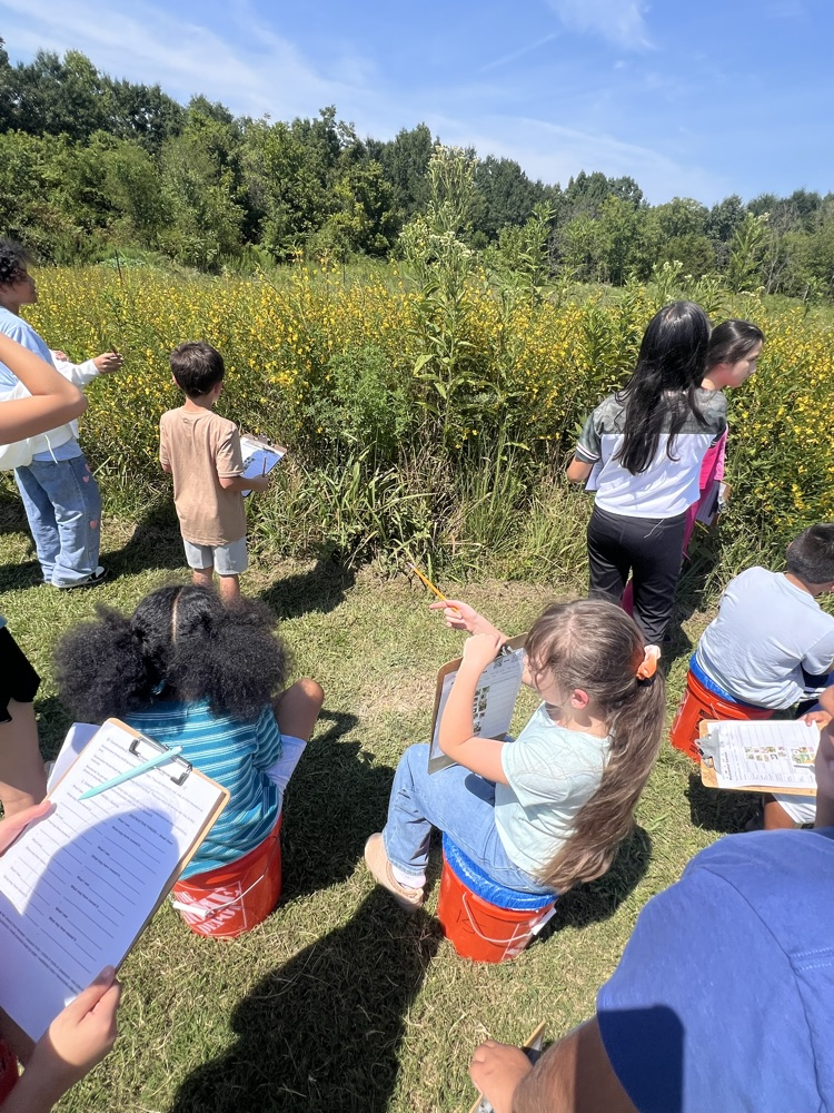 Students sitting on orange buckets in a sunny field, observing wildflowers with clipboards in hand.