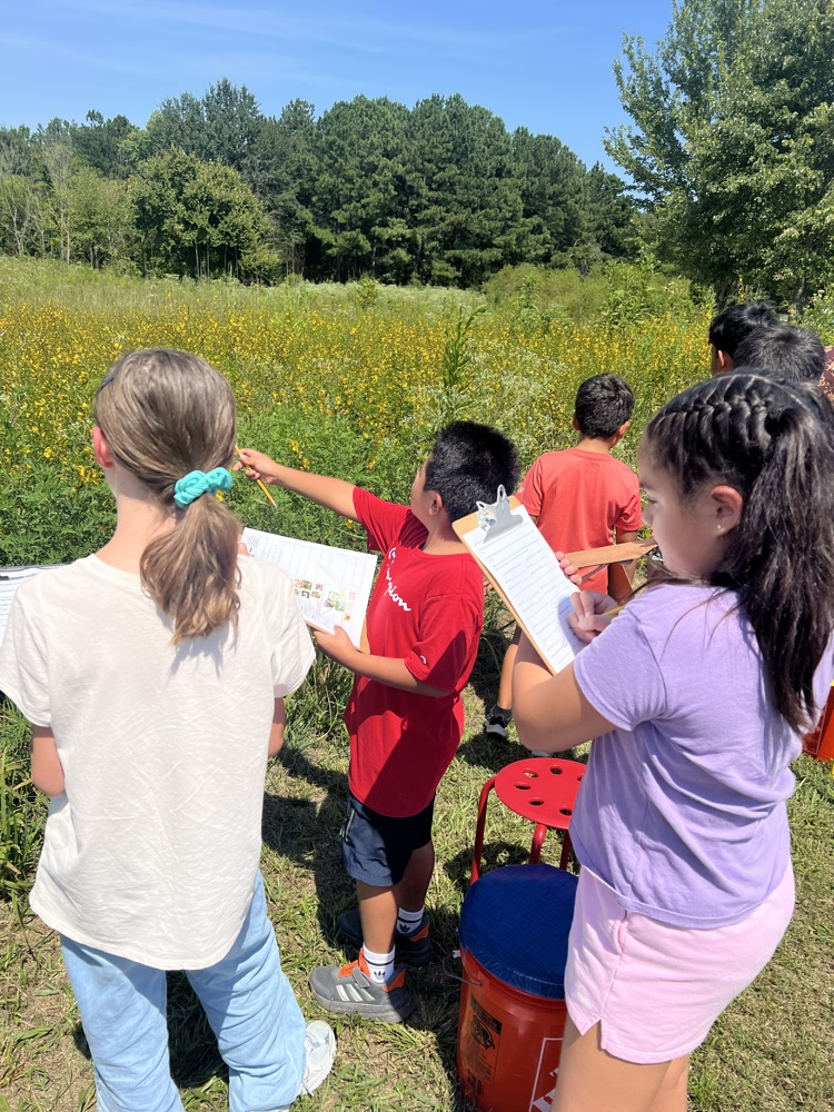 A student in a red t-shirt points toward tall yellow wildflowers while classmates write on clipboards.