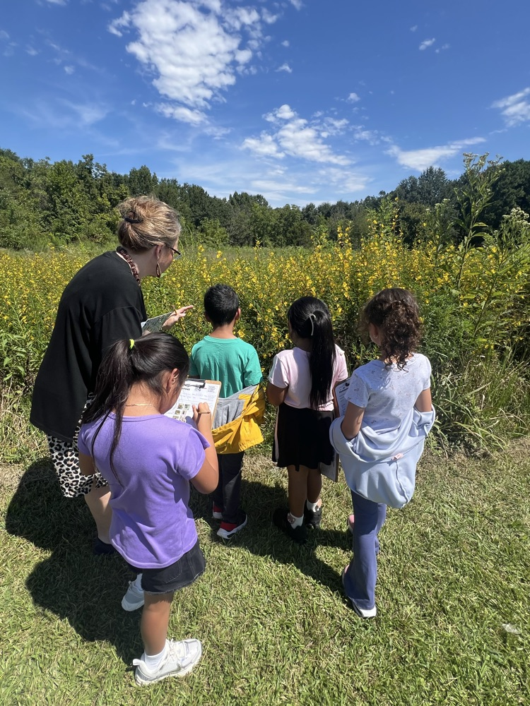 Four students and a teacher look at a patch of tall yellow wildflowers in a field under a clear blue sky.