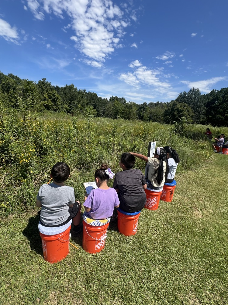 High-angle view of students sitting on orange buckets and observing a field of tall wildflowers.