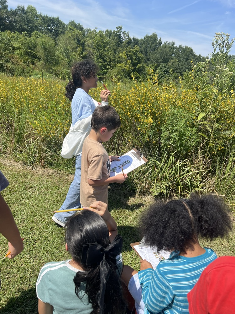 Students stand near a tall patch of yellow wildflowers, observing plants and taking notes on clipboards.