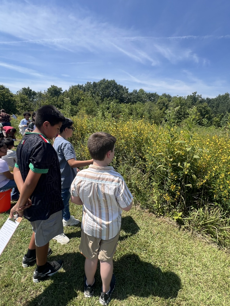 Three students stand on a grassy field, looking at wild yellow flowers and writing on clipboards.