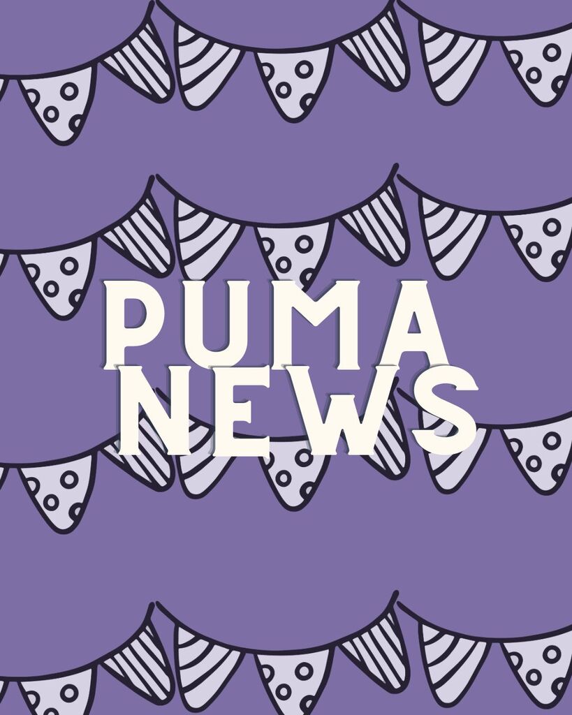 Graphic header featuring the text "PUMA NEWS" in bold off-white lettering over a purple pattern of decorative party bunting flags.