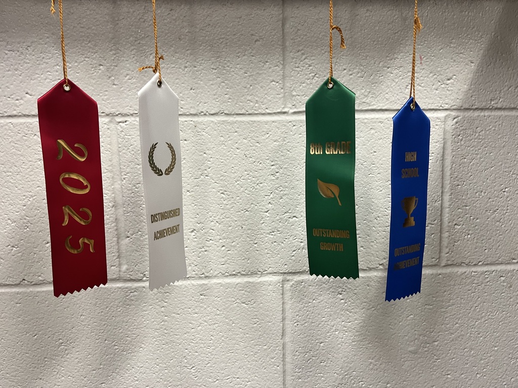 Four colorful achievement ribbons hanging against a white brick wall. The ribbons recognize 2025, Distinguished Achievement, 8th Grade Outstanding Growth, and High School Outstanding Achievement.