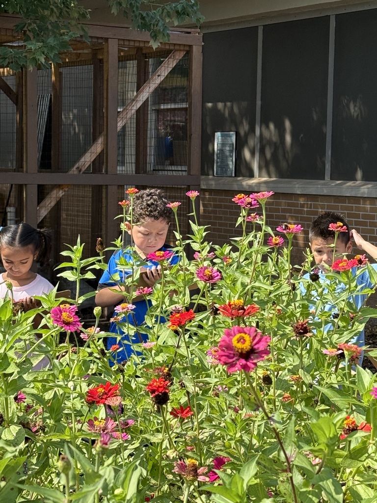 students outside on a sunny day at Brookwood at the pollinator garden in the courtyard taking a pollinator census with clipboards