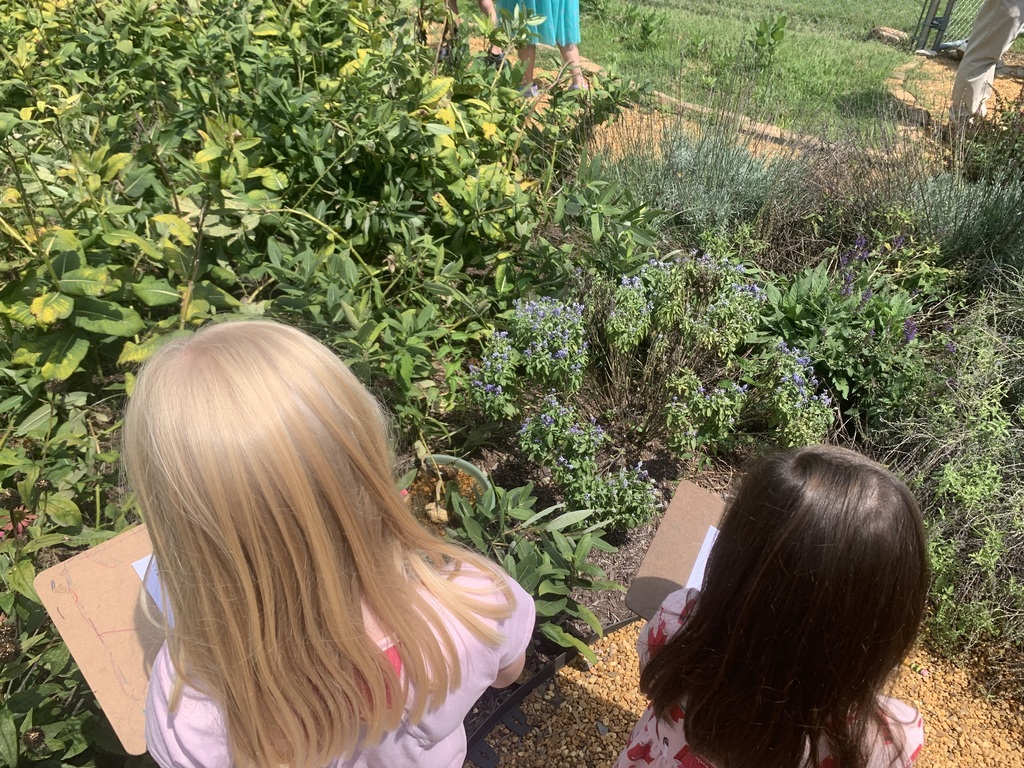 students outside on a sunny day at Brookwood at the pollinator garden in the courtyard taking a pollinator census with clipboards