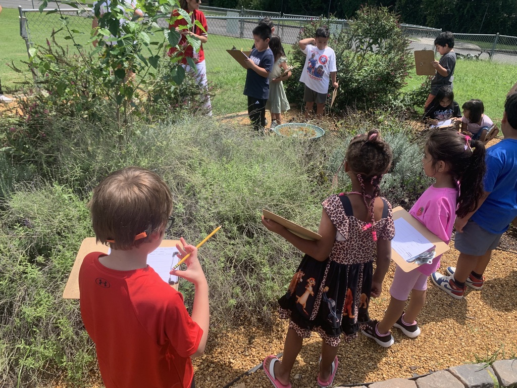 students outside on a sunny day at Brookwood at the pollinator garden in the courtyard taking a pollinator census with clipboards
