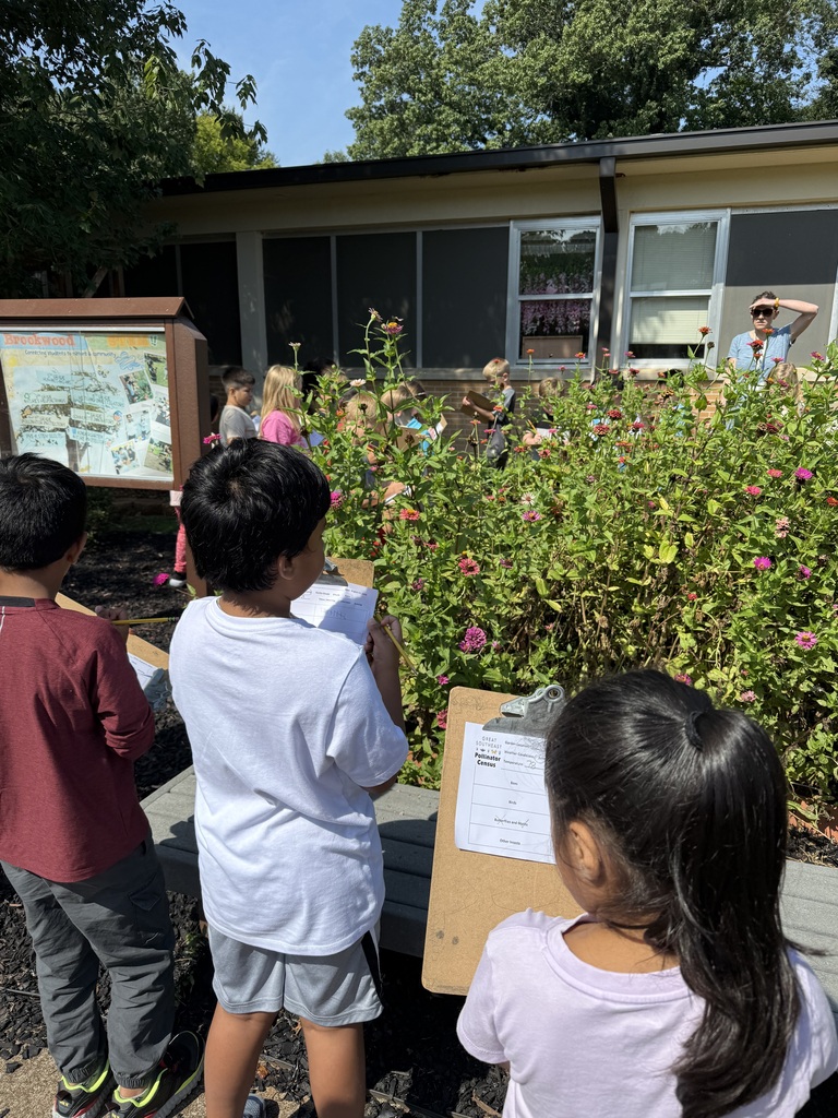 students outside on a sunny day at Brookwood at the pollinator garden in the courtyard taking a pollinator census with clipboards
