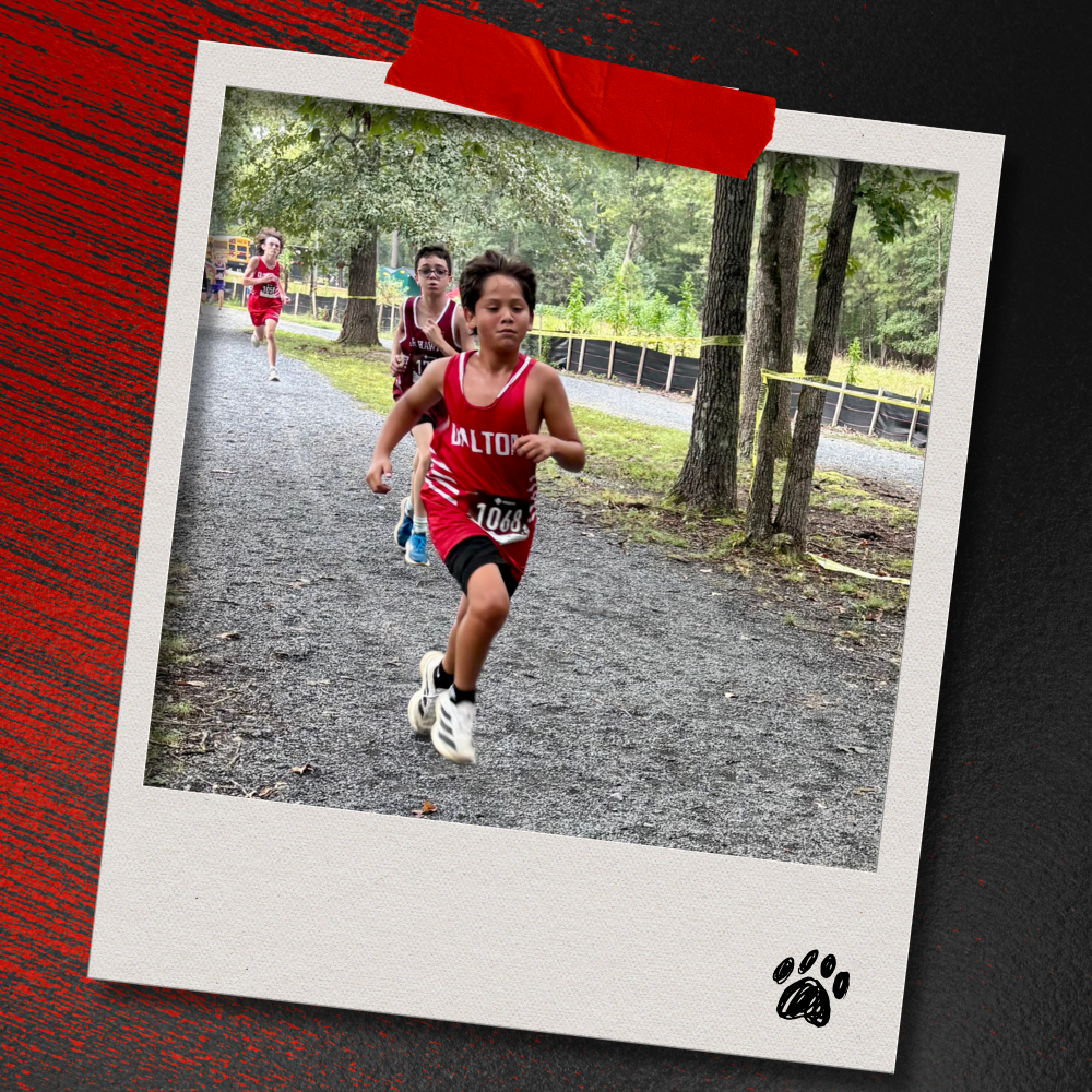 A Dalton Middle boys cross country runner in a red uniform races along a tree-lined gravel section of the course with other runners following behind. The photo is displayed in a taped Polaroid-style frame on a textured red-and-black background with a paw print accent.