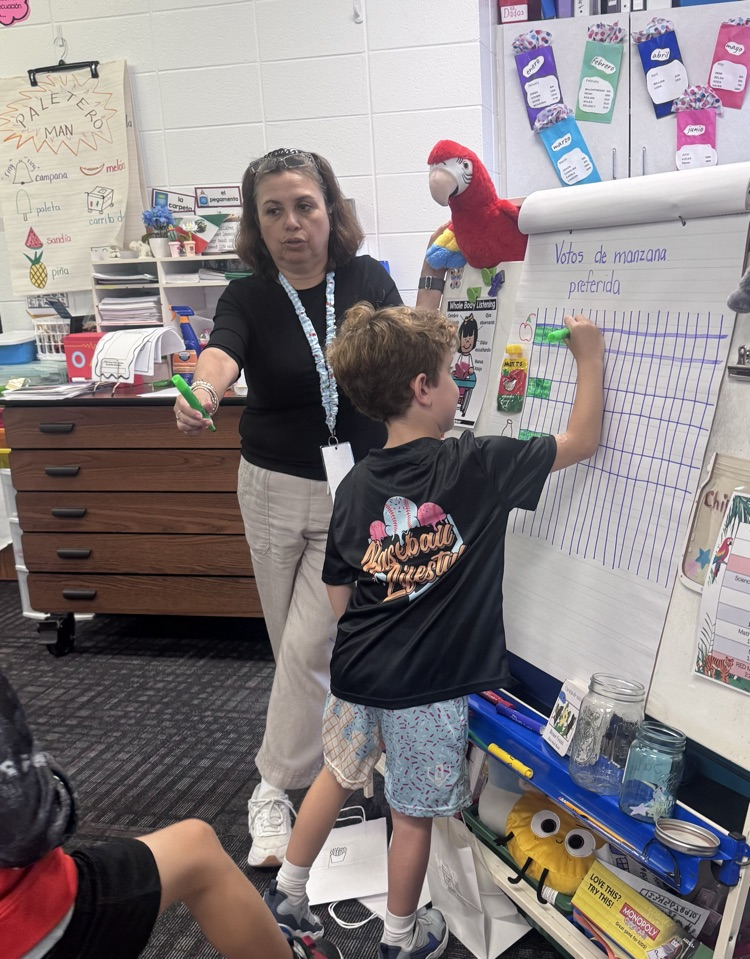 A close-up shot of a young boy in a black "Baseball Lifestyle" shirt filling in a green box on a grid chart titled "Votos de manzana preferida" while his teacher points to the chart beside him.