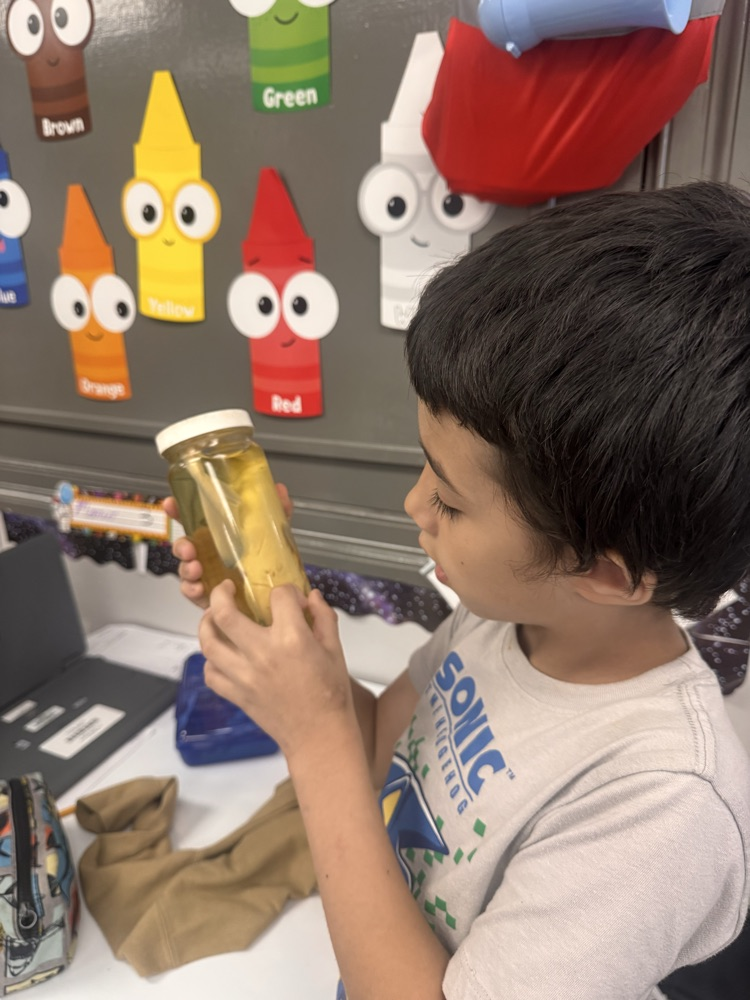 A young student wearing a light grey "Sonic the Hedgehog" t-shirt holds a clear jar containing a preserved specimen up to his eye level, examining it closely. In the background, cartoon crayon cutouts labeled with color names line the classroom wall.