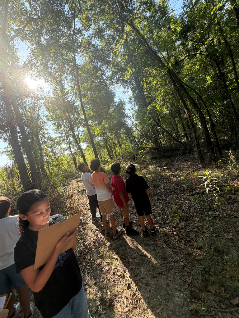 Sunlight filters through a forest canopy onto a dirt path where a young girl in the foreground writes on a clipboard. In the background, four classmates stand in a line looking upward into the tall trees during an outdoor science observation.