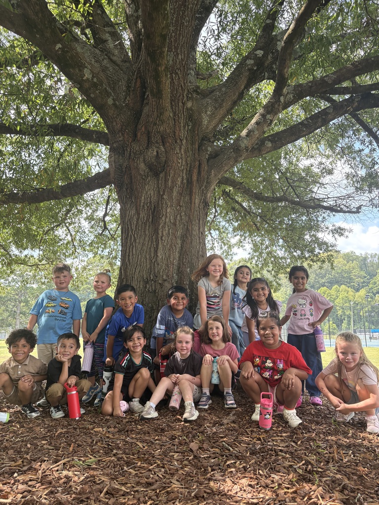 a class of students smiling while sitting under a tree at the park