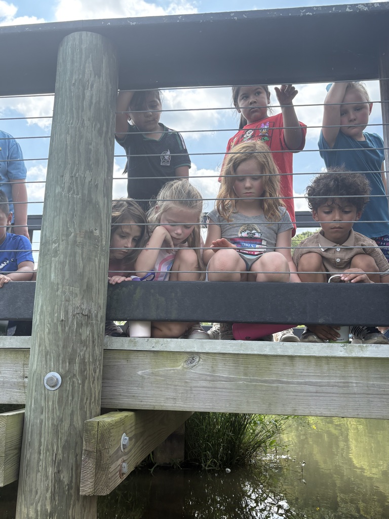 students sitting on the observation deck at Lakeshore Park sharing what they see as they point to their observations