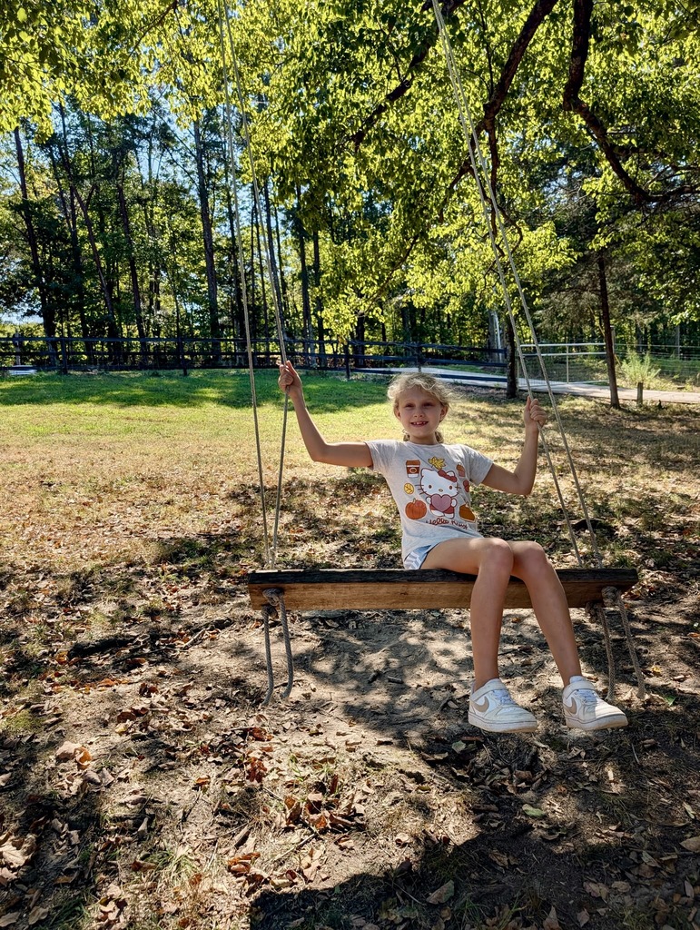 A young girl wearing a graphic t-shirt sits smiling on a wooden tree swing suspended by ropes outdoors in a shaded, grassy park area with trees in the background.