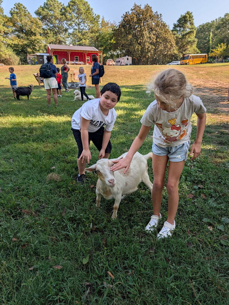 A young girl gently places her hand on the head of a small white goat standing in a grassy field, while a boy leans forward beside her to watch. In the background, other children, adults, a red farm building, and a yellow school bus are visible on a sunny day.