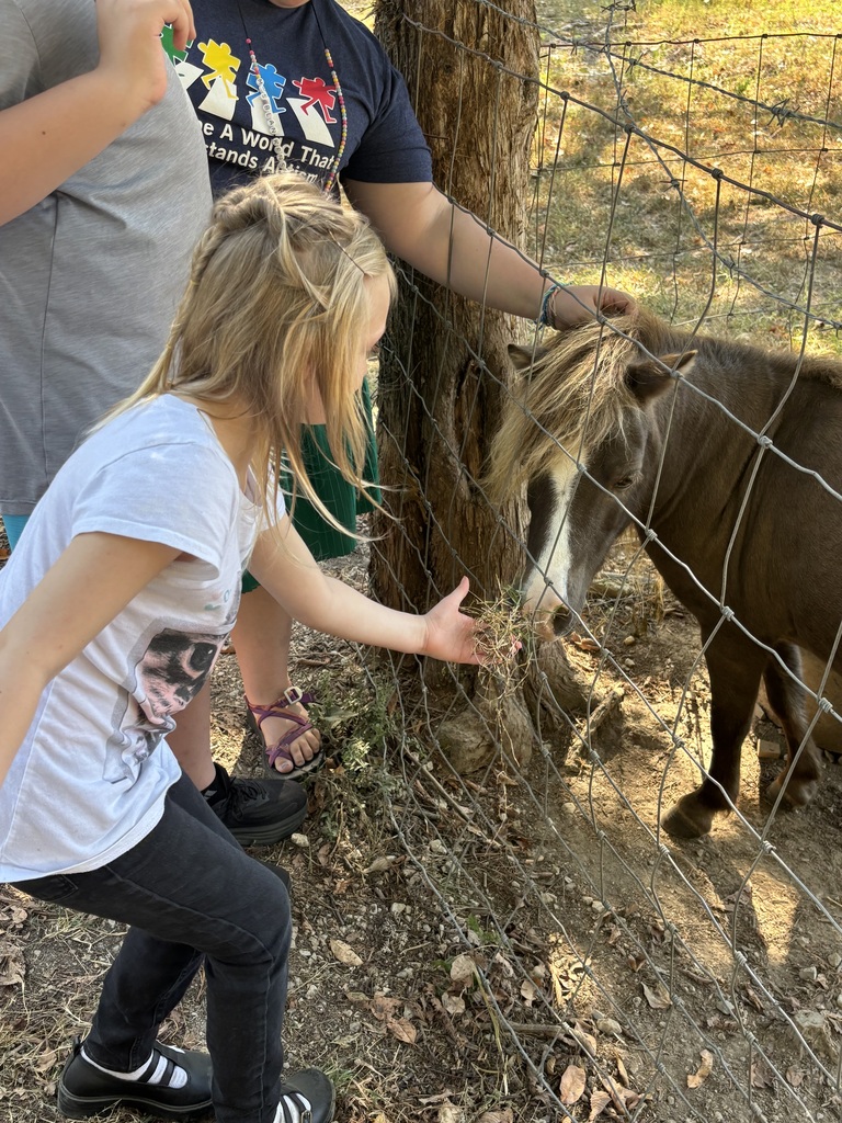 A young girl with blonde hair offers hay from her open hand to a small brown pony with a light mane through a wire fence. An adult nearby reaches through the fence to gently pet the pony's mane.