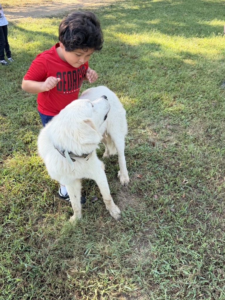 A young boy wearing a red Georgia Bulldogs shirt bends down to pet a large, fluffy white dog standing on a grassy lawn.