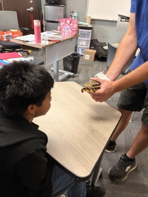 Student participates in a hands-on science activity with a small turtle during a classroom visit from the Tennessee Aquarium. The activity allowed students to learn about and observe live animals up close.