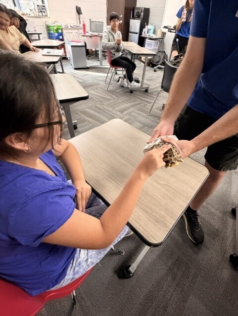 Student participates in a hands-on science activity with a small turtle during a classroom visit from the Tennessee Aquarium. The activity allowed students to learn about and observe live animals up close.
