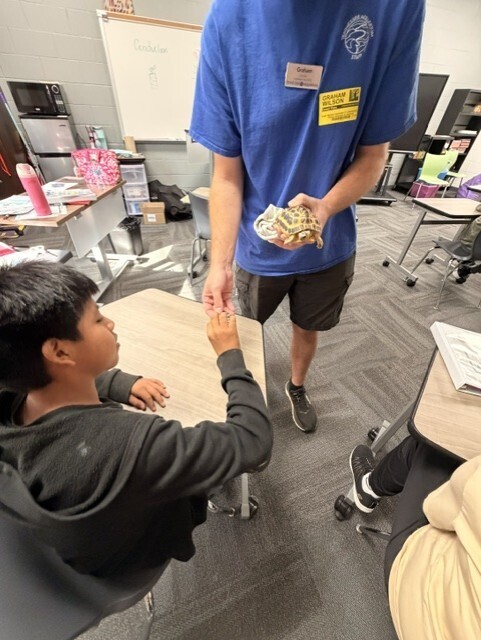Student participates in a hands-on science activity with a small turtle during a classroom visit from the Tennessee Aquarium. The activity allowed students to learn about and observe live animals up close.
