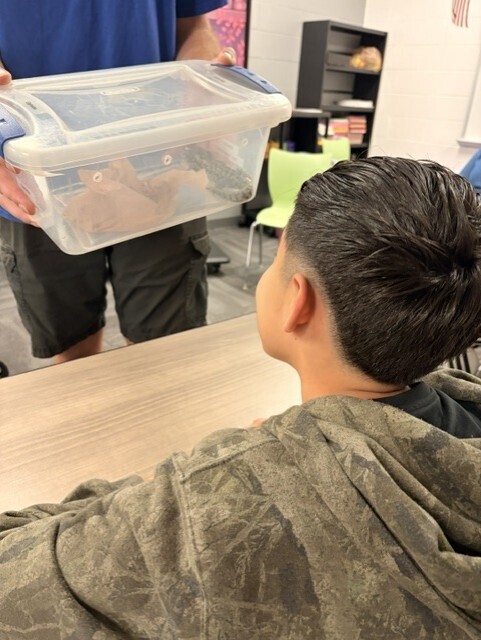 Student observes a small animal during a science class presentation from the Tennessee Aquarium. The visit provided students with an opportunity to interact with live animals while learning about wildlife and conservation.