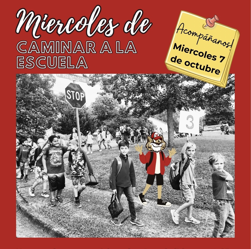Spanish promotional flyer for "Walk to School Wednesday" on October 7. The top features white cursive text reading "Miercoles de" and outlined text reading "CAMINAR A LA ESCUELA" against a red background. On the right, a yellow sticky note pinned to the background reads "¡Acompáñanos! Miercoles 7 de octubre". Below the header is a black-and-white photograph showing a group of students walking along a sidewalk near a stop sign, with a cartoon wildcat mascot illustration layered among them.