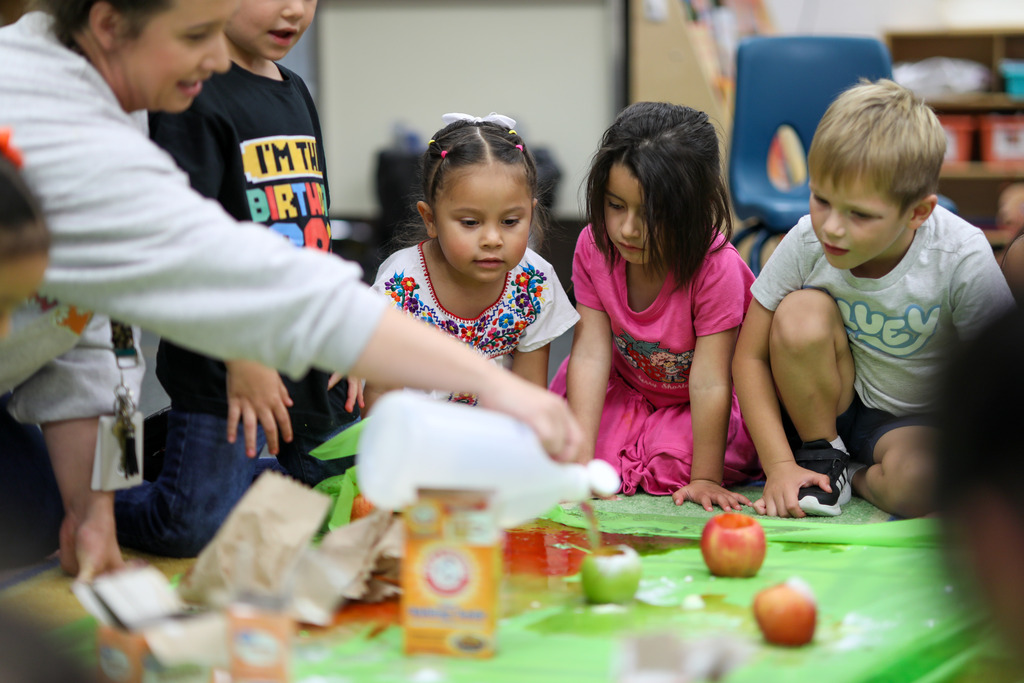Students watch as vinegar is poured into an apple experiment.